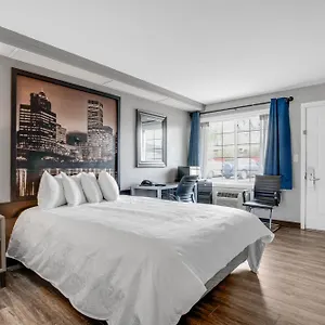Executive , Portland Stati Uniti